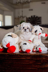 Multipet Plush Dog Toy, Lambchop, 10" Regular, White, Large